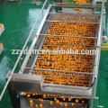Línea comercial de producción de jugo de manzana de anacardo